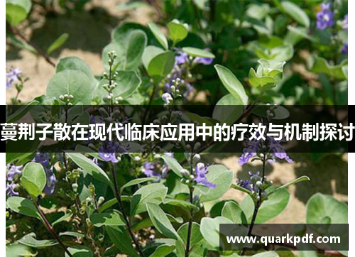 蔓荆子散在现代临床应用中的疗效与机制探讨 蔓荆子散在现代临床应用中的疗效与机制探讨
